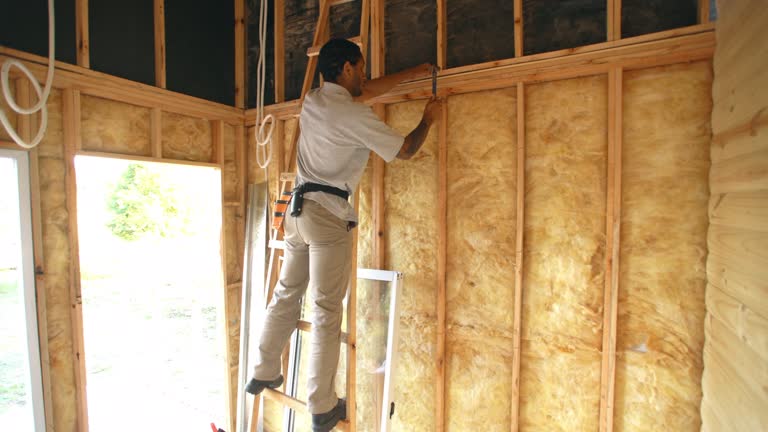 Best Attic Insulation Installation  in Salem, WV