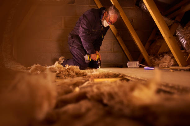 Best Basement Insulation  in Salem, WV